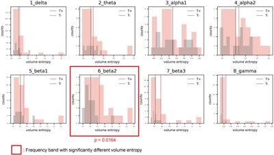 Triple network activation causes tinnitus in patients with sudden sensorineural hearing loss: A model-based volume-entropy analysis